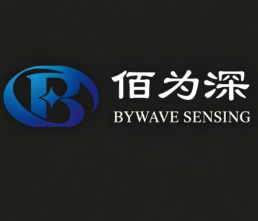 北京佰为深科技发展有限公司